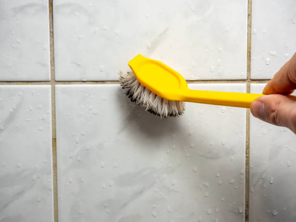 Best Commercial Mold Remediation in Tiger Point, FL