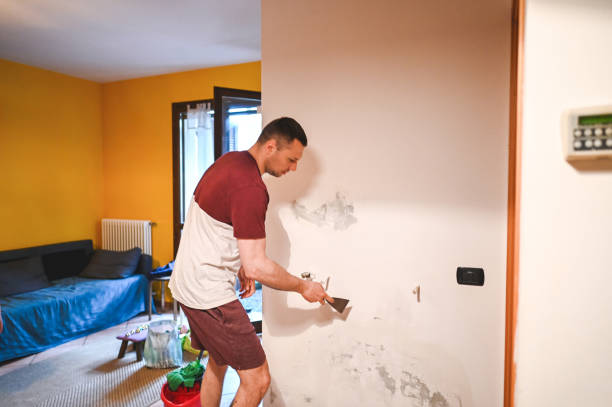 Best Insurance-Related Mold Remediation in Tiger Point, FL
